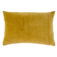 Load image into Gallery viewer, Velvet Throw Pillow
