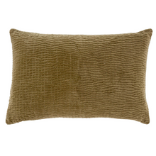 Load image into Gallery viewer, Velvet Throw Pillow
