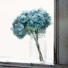 Load image into Gallery viewer, Hydrangea Bundle Blue
